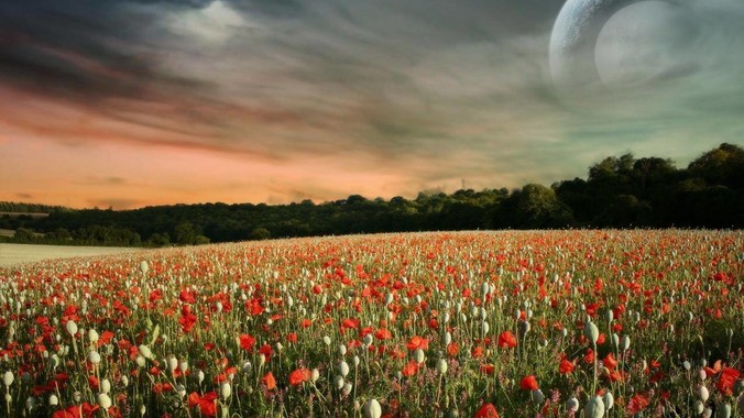 爸爸带大的孩子是什么样子？